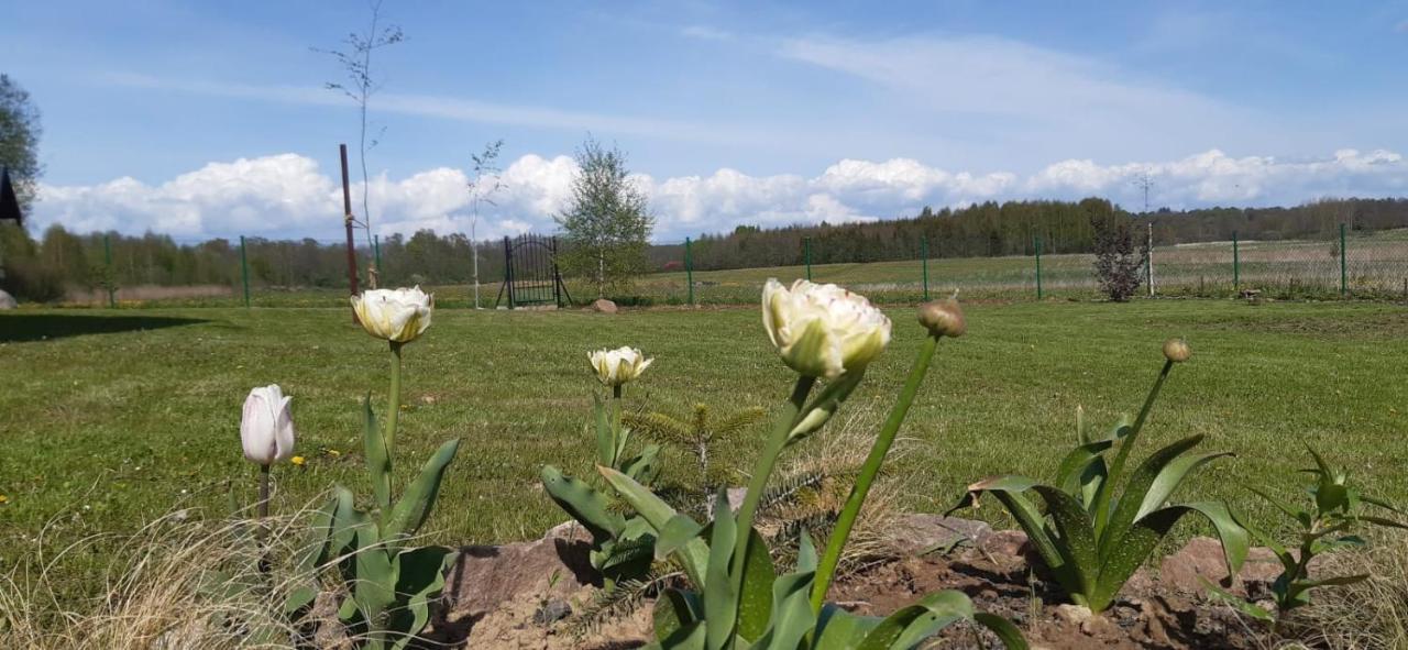 Zacisze Pod Brzozami Vila Kętrzyn Exterior foto